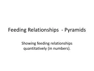 Feeding Relationships - Pyramids