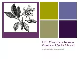 UDL Chocolate Lesson Consumer &amp; Family Sciences