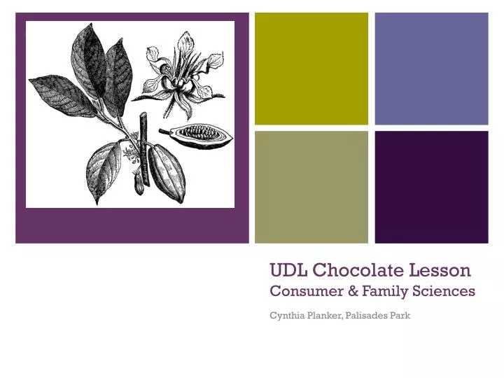 udl chocolate lesson consumer family sciences