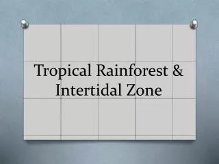 Tropical Rainforest &amp; Intertidal Zone