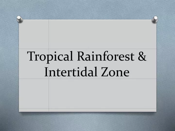 tropical rainforest intertidal zone