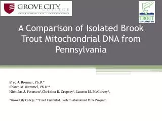 A Comparison of Isolated Brook Trout Mitochondrial DNA from Pennsylvania