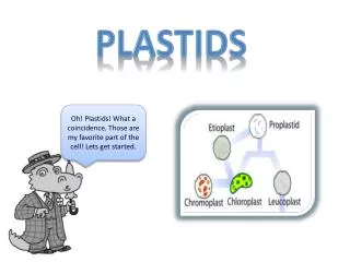 Plastids