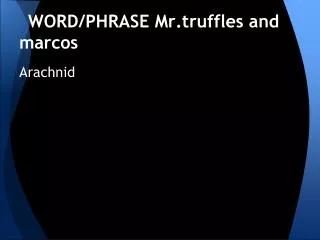 WORD/PHRASE Mr.truffles and marcos