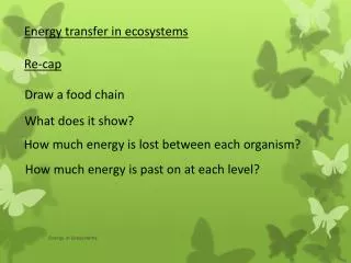 Energy transfer in ecosystems Re-cap