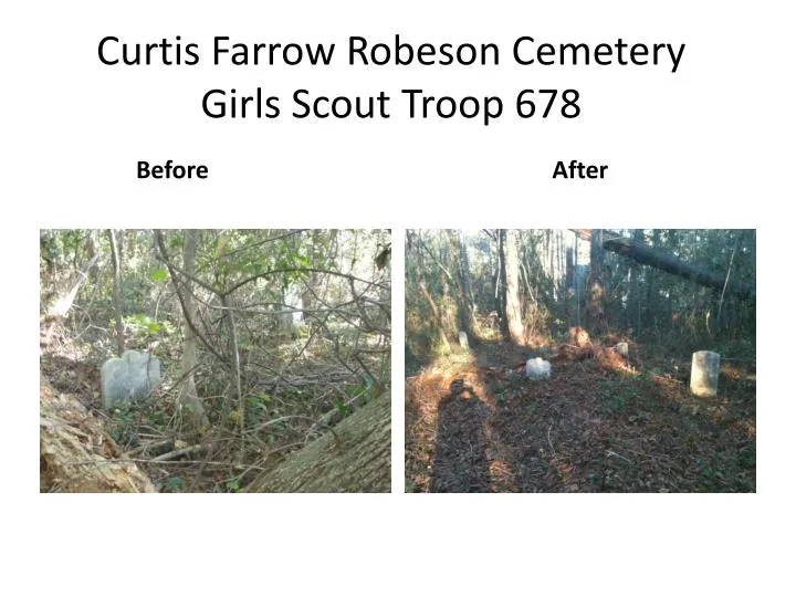 curtis farrow robeson cemetery girls scout troop 678