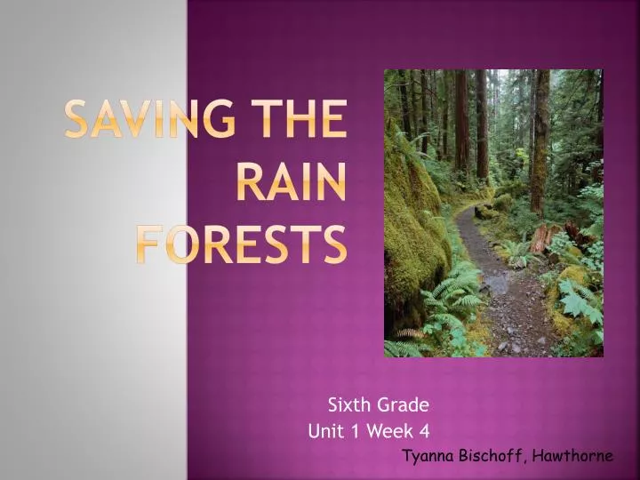 saving the rain forests