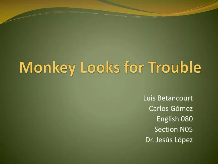 monkey looks for trouble