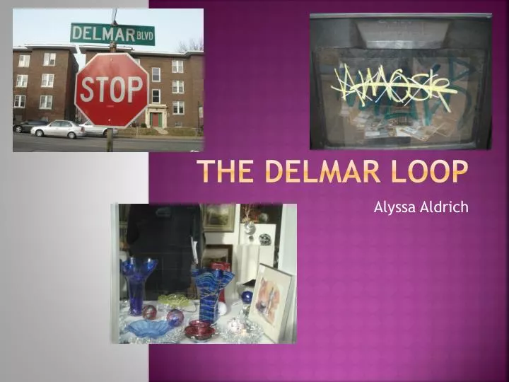 the delmar loop