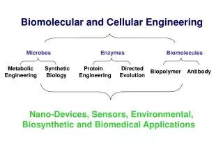 Biomolecular and Cellular Engineering