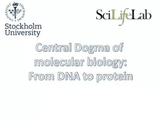 Central Dogma of molecular biology : From DNA to protein