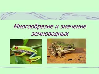 Многообразие и значение земноводных