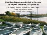 Field Trip Experiences in Online Courses: Strategies, Examples, Assignments