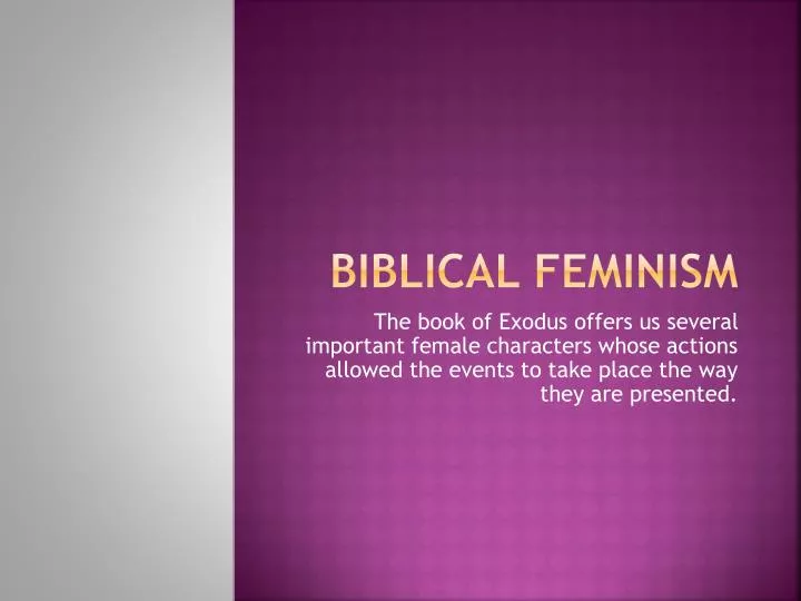 Biblical Feminism N 