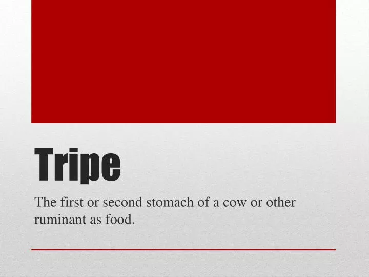 tripe