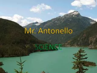 Mr. Antonello