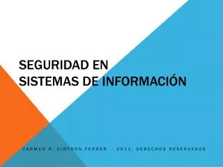 seguridad en sistemas de informaci n