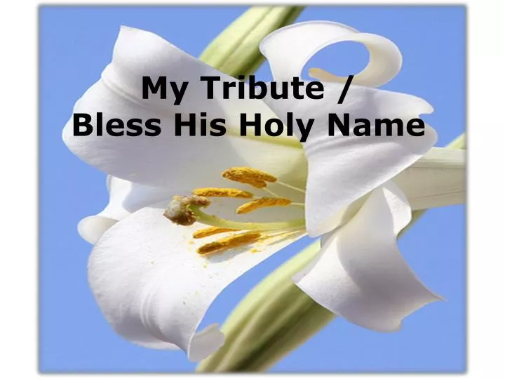 my tribute bless his holy name