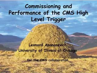 Commissioning and Performance of the CMS High Level Trigger