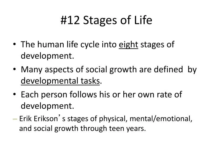12 stages of life