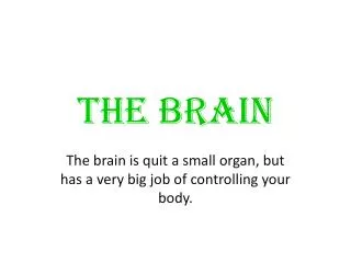 THE BRAIN