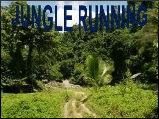Jungle Running