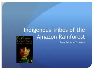 Indigenous Tribes of the Amazon Rainforest
