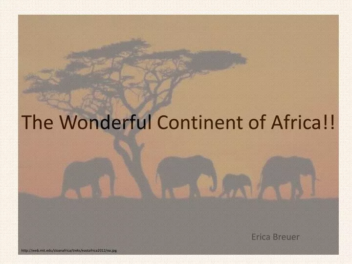 the wonderful continent of africa