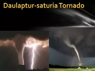 Daulaptur-saturia Tornado