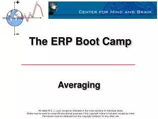 The ERP Boot Camp