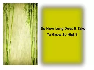 So How Long Does It Take To Grow So High?