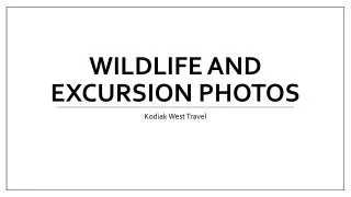 Wildlife and Excursion Photos