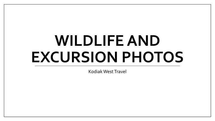 wildlife and excursion photos