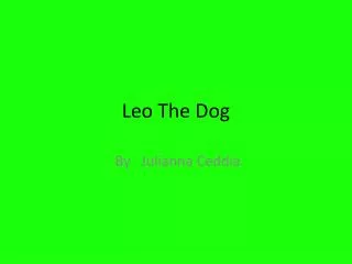 Leo The Dog