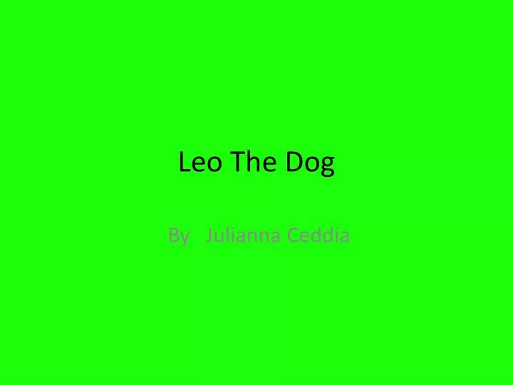 leo the dog