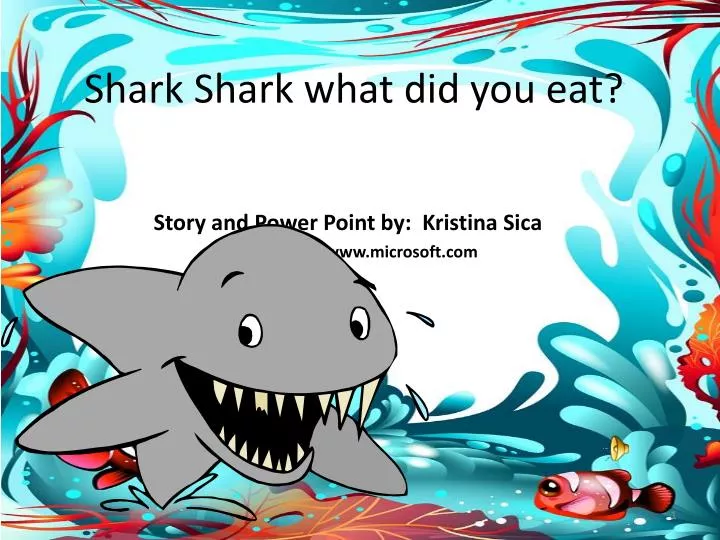 shark shark what did you eat