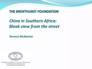 THE BRENTHURST FOUNDATION China in Southern Africa: Bleak view from the street Terence McNamee