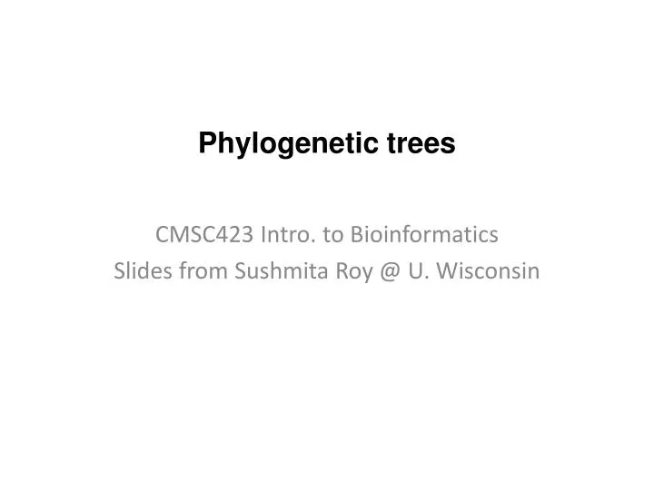 phylogenetic trees