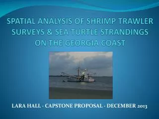 SPATIAL ANALYSIS OF SHRIMP TRAWLER SURVEYS &amp; SEA TURTLE STRANDINGS ON THE GEORGIA COAST