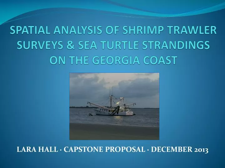spatial analysis of shrimp trawler surveys sea turtle strandings on the georgia coast