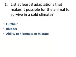 List at least 3 adaptations that makes it possible for the animal to survive in a cold climate?