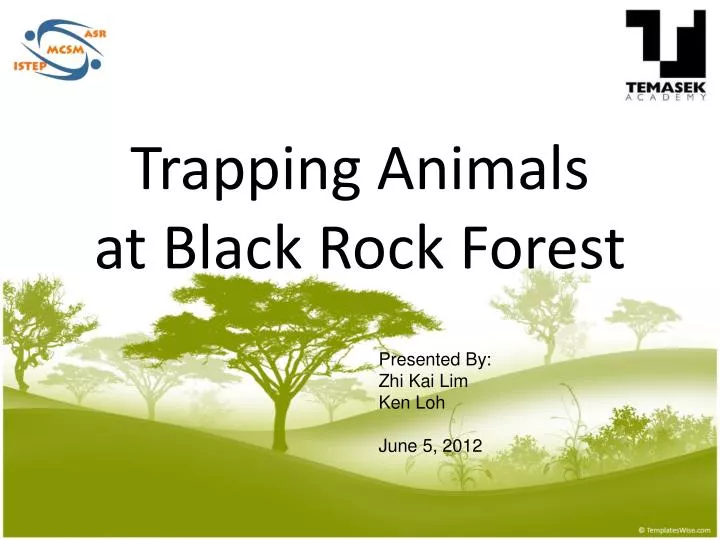 trapping animals at black rock forest