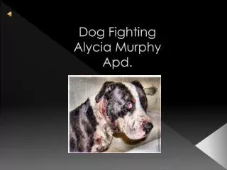Dog Fighting Alycia Murphy Apd.
