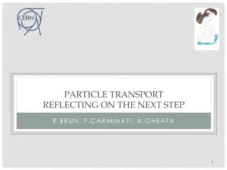 Particle transport reflecting on the next step