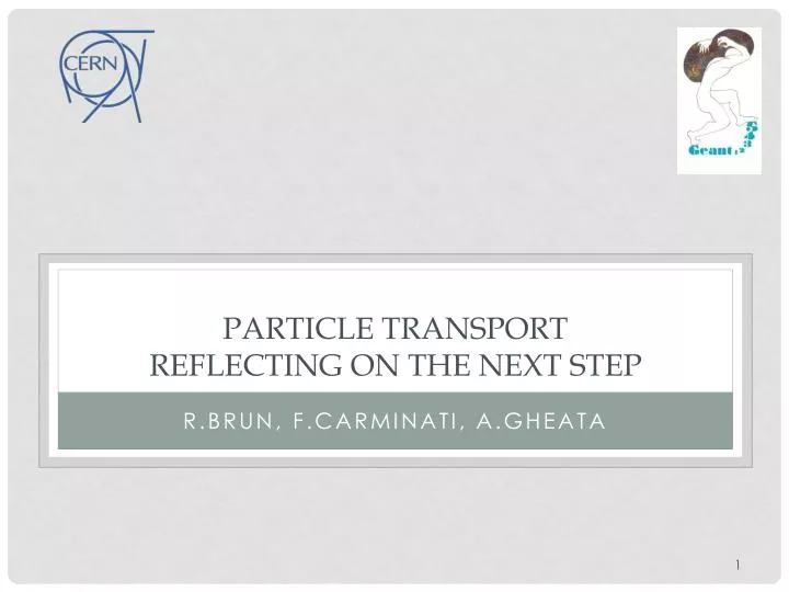 particle transport reflecting on the next step
