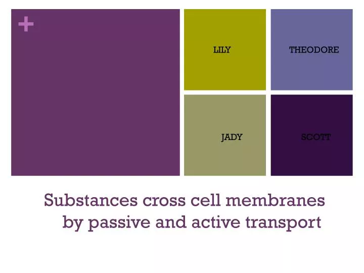 substances cross cell membranes by passive and active transport