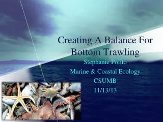 Creating A Balance For Bottom Trawling