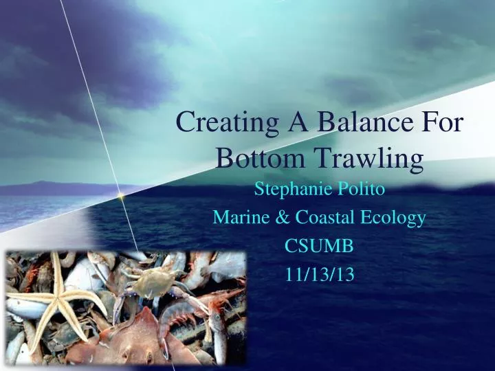 creating a balance for bottom trawling
