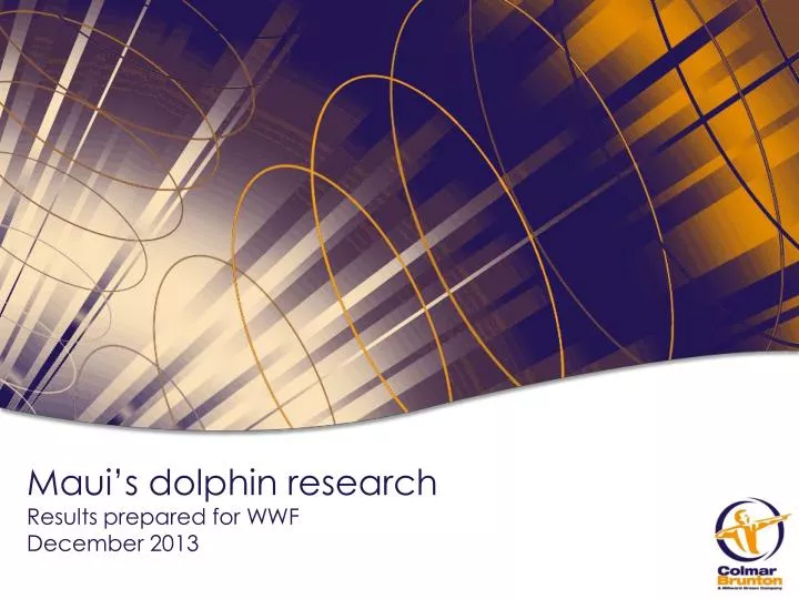 maui s dolphin research results prepared for wwf december 2013