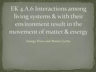 Energy Flows and Matter Cycles